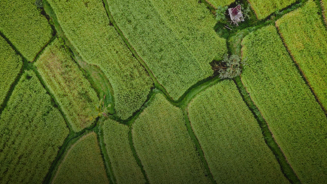 sustainability