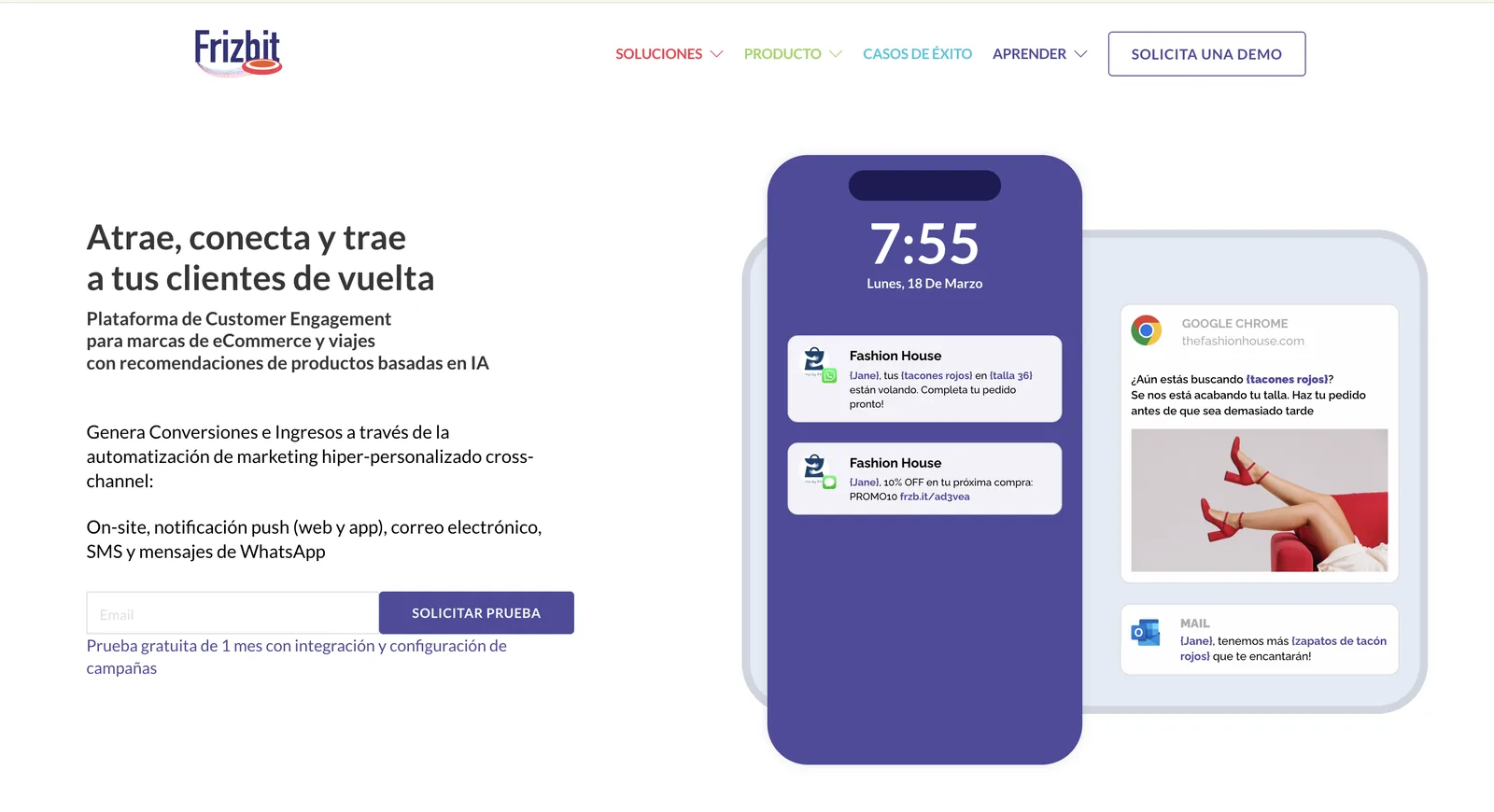 Homepage de Frizbit