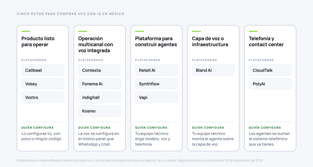Cinco columnas con las rutas de compra de voz con IA y las trece plataformas repartidas entre ellas.